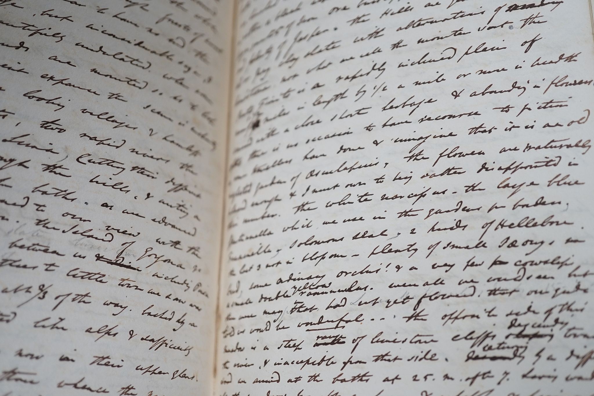 An early 19th century vellum bound hand-written account of a Grand Tour c.1830